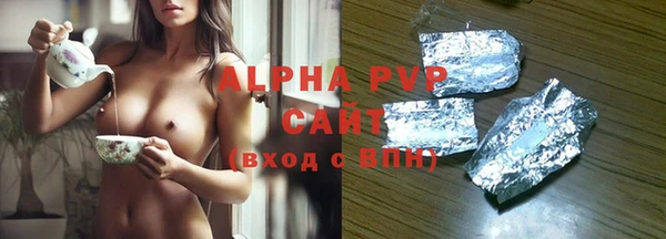 хмурый Инсар