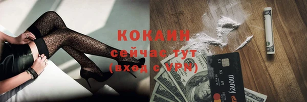 амф Инта
