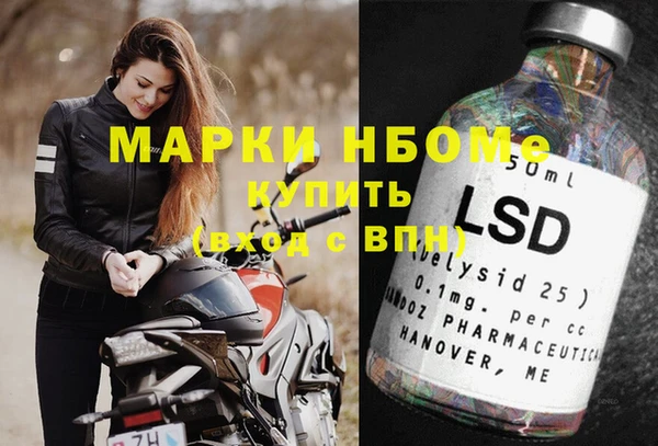 хмурый Инсар