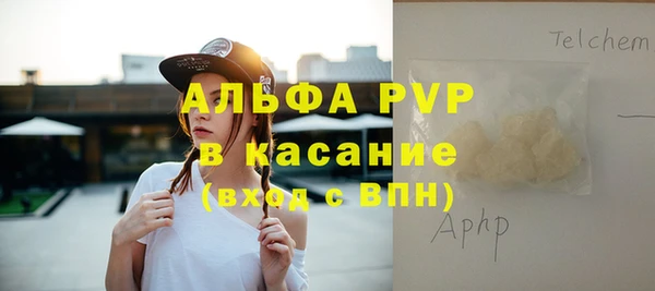 хмурый Инсар