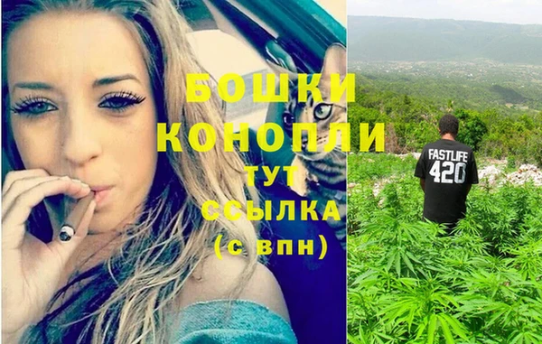 хмурый Инсар