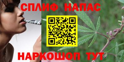 прущие грибы Кумертау