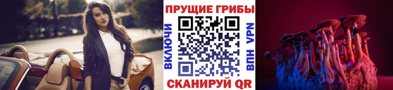 даркнет сайт  Карталы  Псилоцибиновые грибы ЛСД 