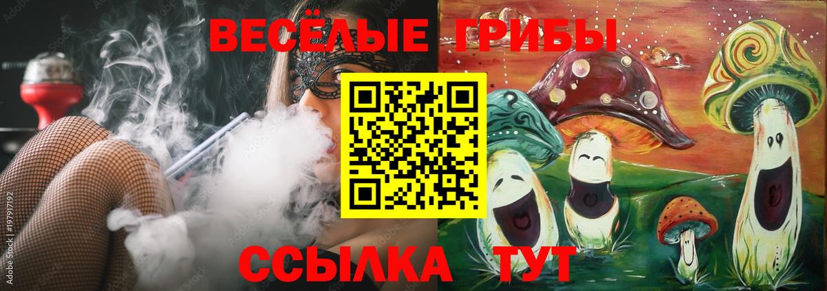 Псилоцибиновые грибы Psilocybe Карталы