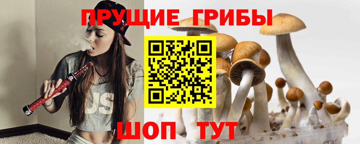 Псилоцибиновые грибы GOLDEN TEACHER  Вход с VPN  Карталы  Галлюциногенные грибы Psilocybe 